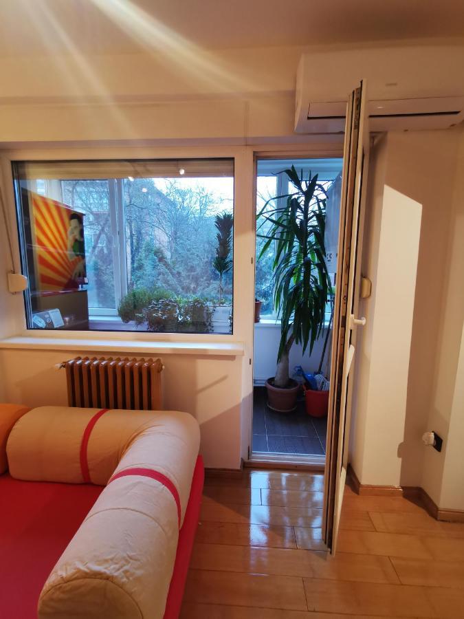 Comfy & Pleasant Apartment 10 Min Walk To Downtown Timisoara Exterior photo