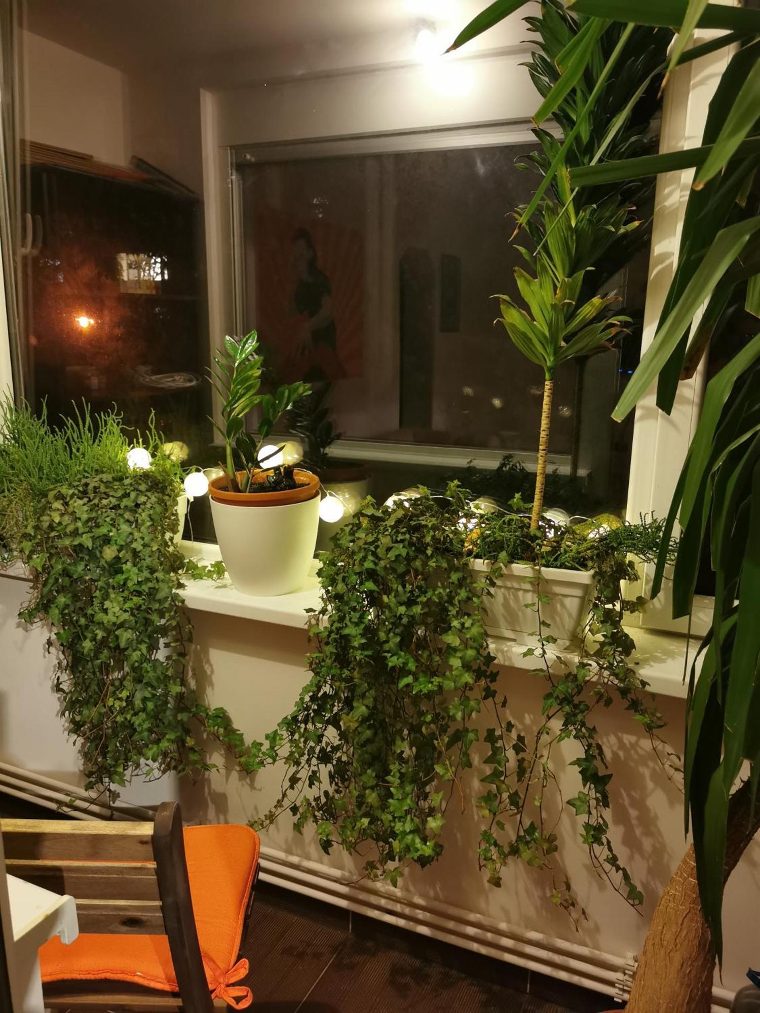 Comfy & Pleasant Apartment 10 Min Walk To Downtown Timisoara Exterior photo