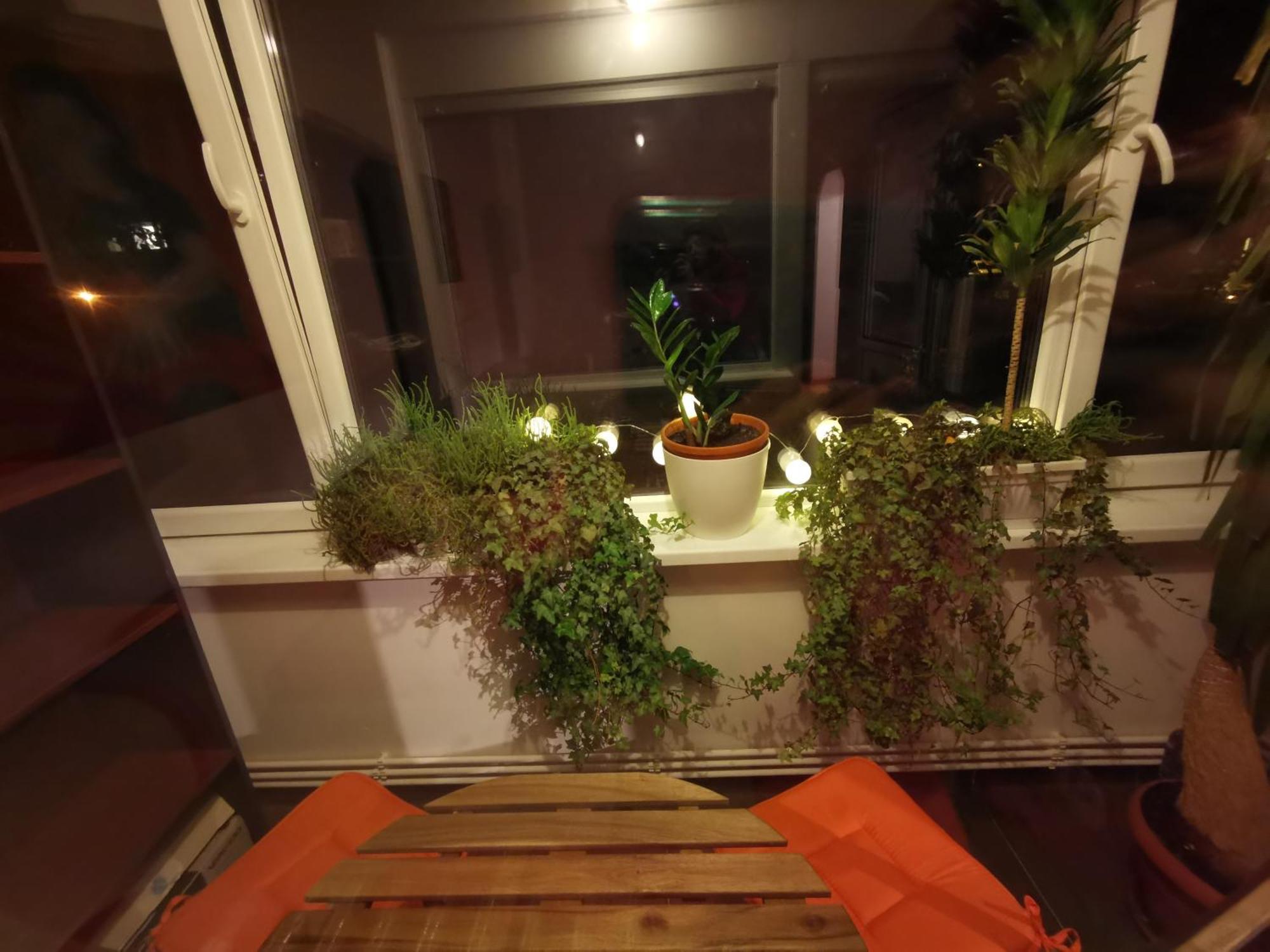 Comfy & Pleasant Apartment 10 Min Walk To Downtown Timisoara Exterior photo